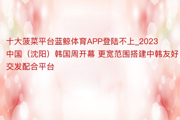 十大菠菜平台蓝鲸体育APP登陆不上_2023中国（沈阳）韩国周开幕 更宽范围搭建中韩友好交发配合平台